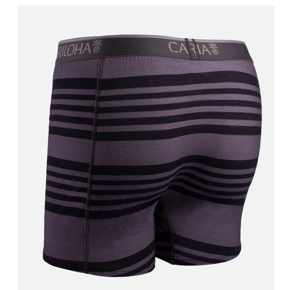 Cariloha Bamboo Boxer Briefs - Carbon Stripe NWT Sz Small - Picture 2 of 5